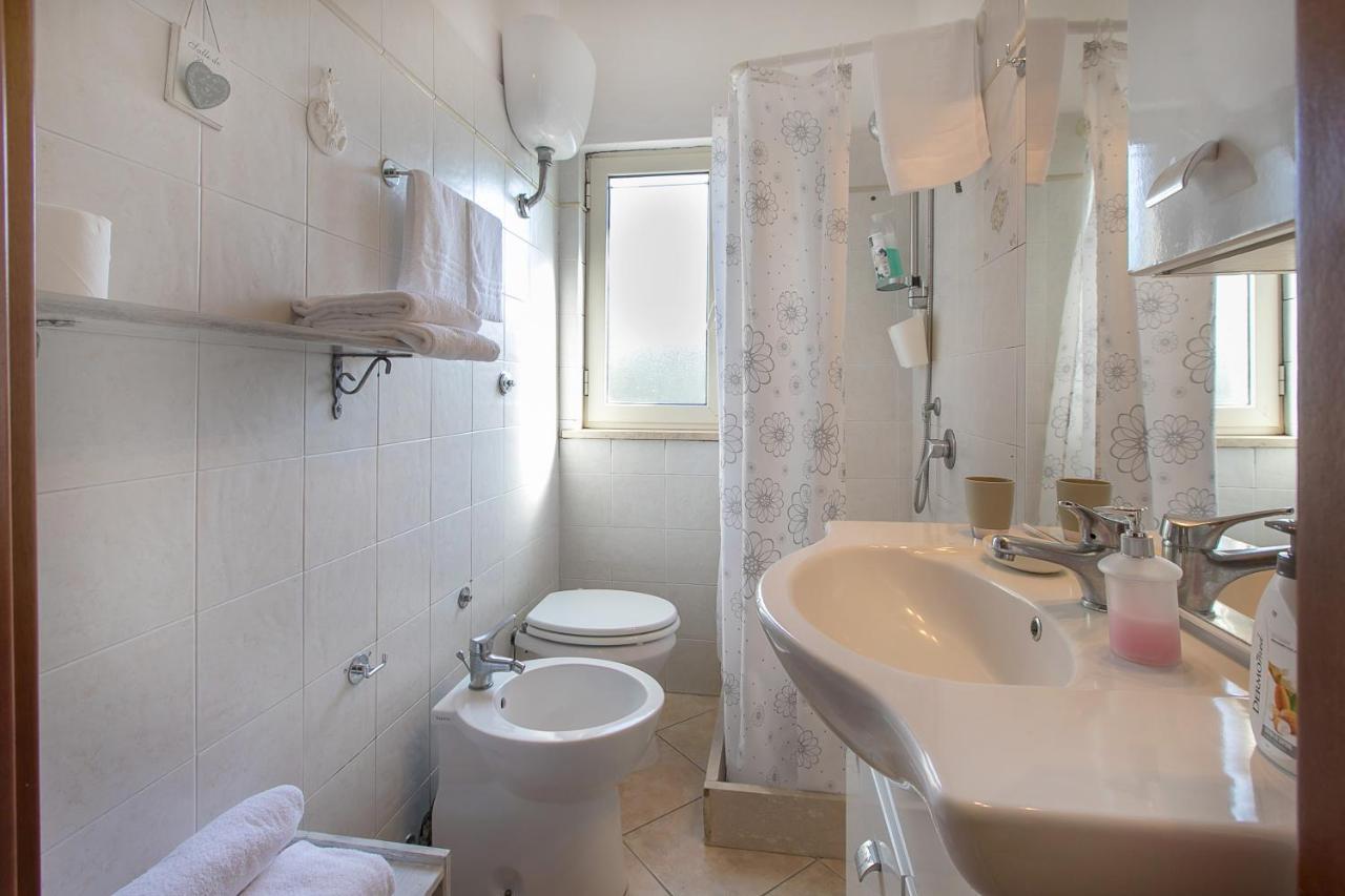 Alojamento de Turismo Rural Torre Flavia